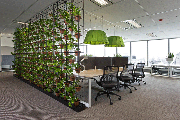 طراحی بیوفیلیک و گیاه در فضای کار اداری